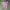 Casual Hoody Wanita pink photo 2
