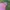 Casual Hoody Wanita pink photo 1