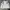 Casual Windbreaker Pria White