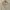 Japanese brand Vintage Luxury Cardigan Wanita white photo 2