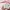 Japanese brand Coquette Casual Cami top Wanita white pink photo 4