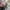 Streetwear Sportswear T-shirt Pria multicolor photo 2