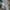 Streetwear Sportswear T-shirt Pria multicolor photo 4