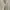 Japanese brand Vintage Luxury Cardigan Wanita cream photo 4