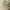 Japanese brand Vintage Luxury Cardigan Wanita cream photo 1
