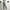 Adidas Sportswear Tracksuit Pria Gray