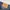Acne Studios Streetwear Luxury Jeans Pria blue photo 7