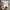 Outdoor Research Sportswear Tracksuit Pria gray photo 4