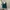 Y2K Fairy Blouse Wanita green photo 2