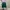 Y2K Fairy Blouse Wanita green photo 3
