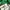 Vintage Y2K Windbreaker Pria green photo 3