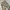 Streetwear Y2K Jeans Pria khaki photo 3