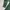 Issey Miyake Vintage Y2K Hoody Wanita green photo 4