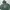 Issey Miyake Vintage Y2K Hoody Wanita green photo 3