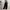 Shein Sportswear Tracksuit Pria black photo 3