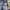 Grunge Jeans Pria multicolor photo 3
