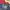 Grunge Jeans Pria multicolor photo 5