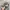 Realtree Y2K Skater Hat Pria Tan Gray