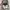 Realtree Y2K Skater Hat Pria tan gray photo 6
