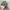 Realtree Y2K Skater Hat Pria tan gray photo 4