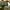 MLB Sportswear Sweatpants & Joggers Kids green photo 6