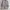 Vintage Casual Windbreaker Wanita tan photo 1