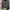 Ed Hardy Streetwear Y2K Hoody Pria gray photo 2