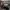 Adidas Y2K Casual Sneakers Pria white black photo 3