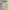 Streetwear Casual Puffer jacket Wanita yellow photo 1