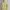 Streetwear Casual Puffer jacket Wanita yellow photo 8