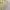 Streetwear Casual Puffer jacket Wanita yellow photo 7