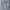 Xfrm Vintage Streetwear Harrington jacket Pria white photo 1