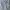 Xfrm Vintage Streetwear Harrington Jacket Pria White