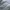 Xfrm Vintage Streetwear Harrington jacket Pria white photo 6