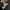Freak's Store Streetwear Sportswear Hoody Pria black photo 1