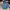 Nike Gorpcore Sweatshirt Pria blue photo 1