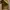 Hai Sporting Gear Vintage Y2K Sweatshirt Pria tan brown photo 4