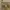 Hai Sporting Gear Vintage Y2K Sweatshirt Pria tan brown photo 3