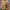Hai Sporting Gear Vintage Y2K Sweatshirt Pria tan brown photo 1