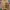Hai Sporting Gear Vintage Y2K Sweatshirt Pria Tan Brown