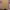 Hai Sporting Gear Vintage Y2K Sweatshirt Pria tan brown photo 2