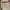 Hai Sporting Gear Vintage Y2K Sweatshirt Pria tan brown photo 5