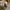 Hai Sporting Gear Vintage Y2K Sweatshirt Pria tan brown photo 7