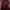 Nike Vintage Track jacket Pria red photo 1