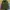 Helly Hansen Y2K Sportswear Fleece Pria green photo 2