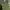 Helly Hansen Y2K Sportswear Fleece Pria green photo 5