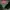 Helly Hansen Y2K Sportswear Fleece Pria green photo 6