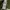 Helly Hansen Y2K Sportswear Fleece Pria green photo 7