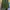 Helly Hansen Y2K Sportswear Fleece Pria green photo 3