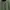 Helly Hansen Y2K Sportswear Fleece Pria green photo 1
